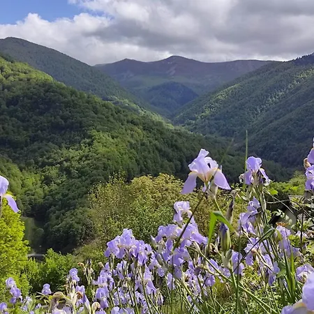 Σπίτι διακοπών La Grange De L'ours