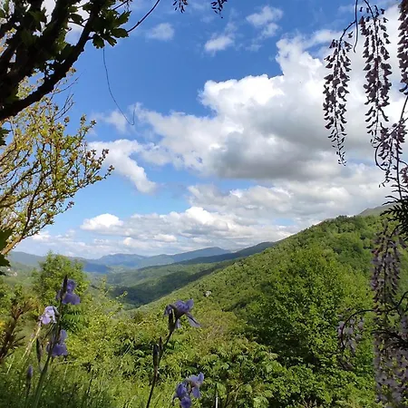 La Grange De L'ours Σπίτι διακοπών Saint-Lary (Ariege)