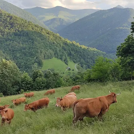 Σπίτι διακοπών La Grange De L'ours